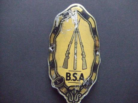 BSA brommer, motor balhoofdplaatje (13)